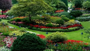 amenagement paysager — Aménagement paysager : inspiration jardin et règles à connaître