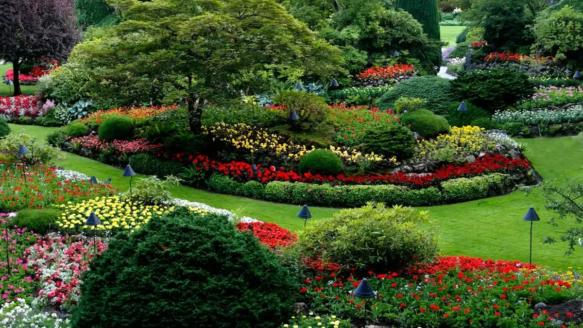 amenagement paysager — Aménagement paysager : inspiration jardin et règles à connaître