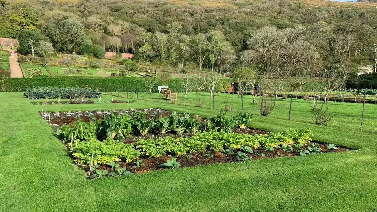 engrais biologique potager — Engrais biologique potager : quand épandre et quoi choisir