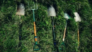 entretien des jardin — Entretien du jardin