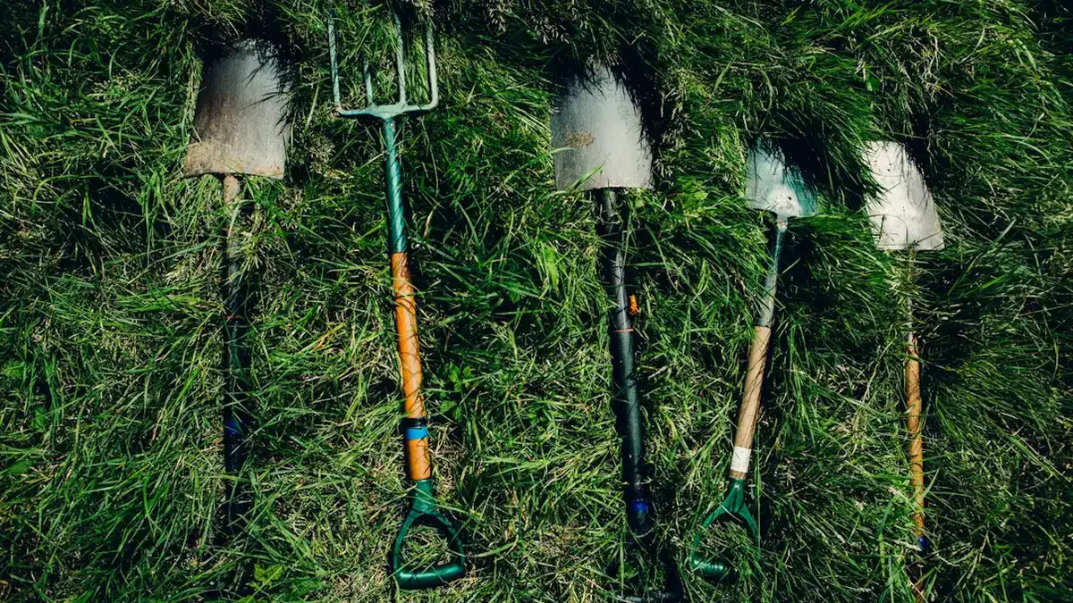 entretien des jardin — Entretien du jardin