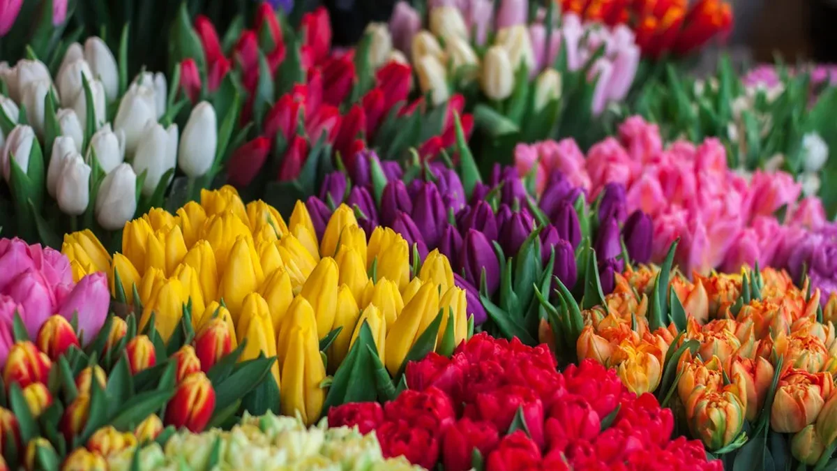 fleurs coupees de saison — Fleurs coupées de saison