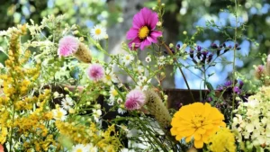 fleurs de saison septembre — Fleurs de saison septembre : quoi planter et quoi couper