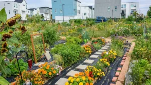 fleurs pour potager — Fleurs pour potager