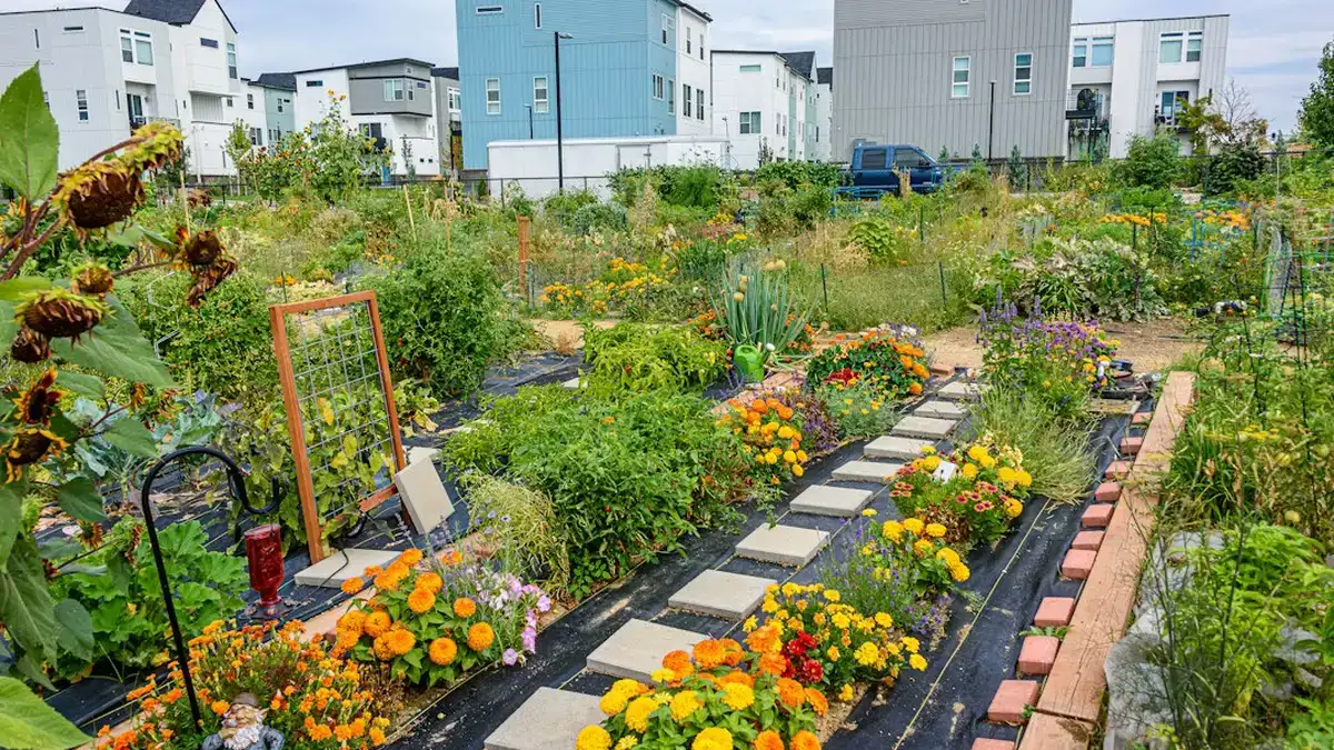 fleurs pour potager — Fleurs pour potager