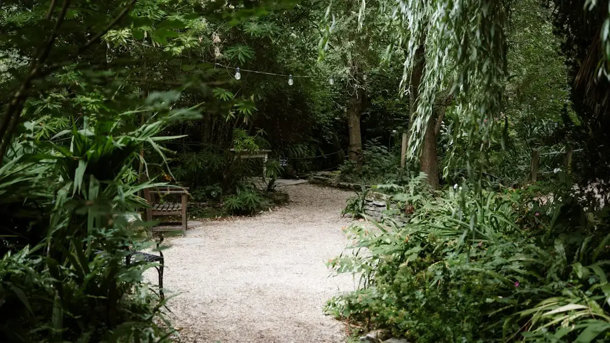 gravier dans jardin — Gravier dans jardin