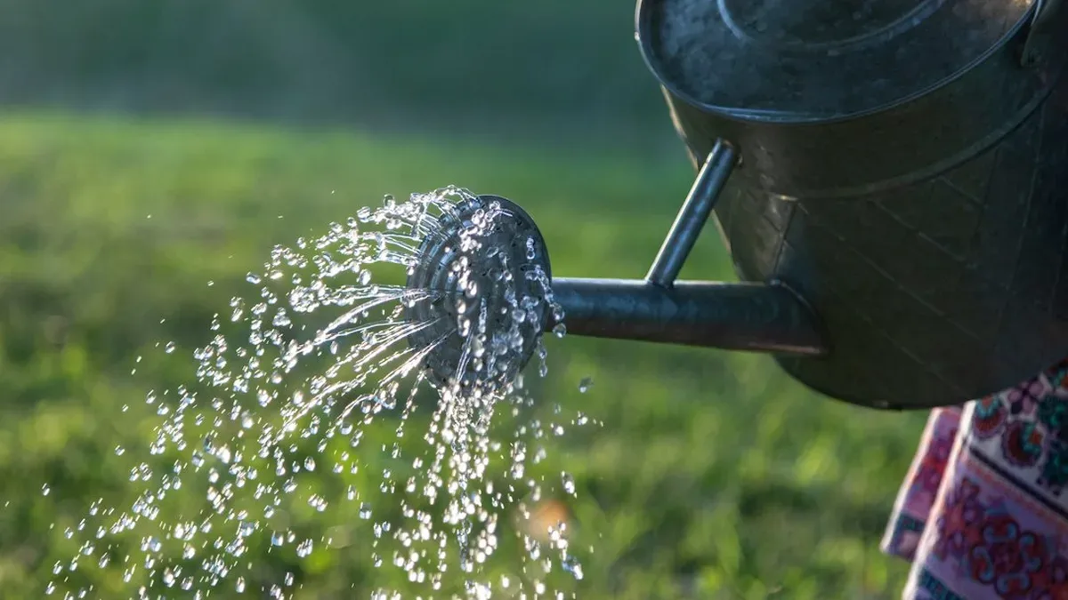 jardin sec moderne — Jardin sec moderne : la méthode par étapes pour arroser moins