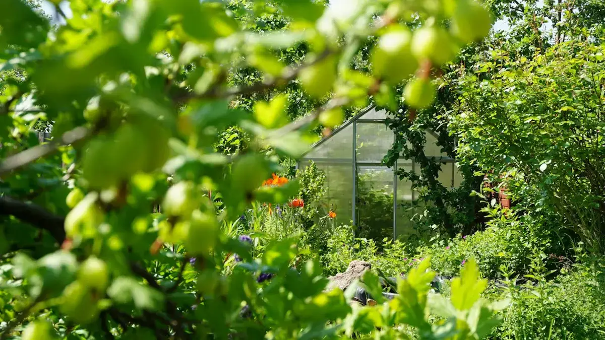 modele serre de jardin — Modèle serre de jardin : verre, plastique et usages par saison