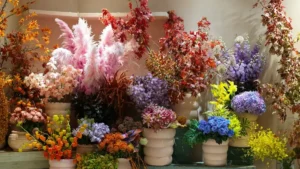 plantes d interieur colorees — Plantes d'intérieur colorées