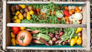que planter en septembre au potager — Que planter en septembre au potager